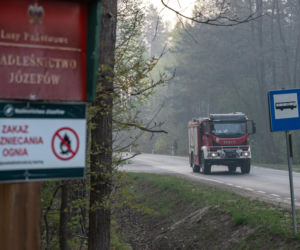Roztoczański Park Narodowy zamknięty! Puszcza Solska w ogniu
