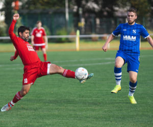 Sport – tylko zawodowy