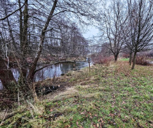 Zabił kolegę, poćwiartował i wyniósł w walizce. Szczątki zakopał w parku miejskim. Biegli nie mają wątpliwości