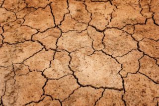 Zmiany klimatyczne dobiją rolników 