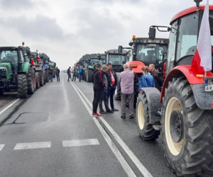 Agrounia szykuje kolejne protesty 9 lutego 2022. Gdzie się odbędą? 