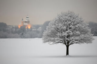 Papież Leon XIV zaskoczył Polaków. Co naprawdę kryje się w jego feriowym przesłaniu?