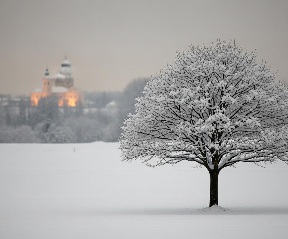 W centrum obrazu stoi pojedyncze drzewo, gęsto pokryte białym śniegiem, wyraźnie odcinające się na tle zaśnieżonego, płaskiego krajobrazu. Nagie gałęzie drzewa, rozgałęziające się z ciemnego pnia, są w całości białe od śniegu. W oddali po lewej stronie, lekko rozmyty i oświetlony pomarańczowo-żółtym światłem, widoczny jest budynek z dwoma kopułami, również pokryty śniegiem, otoczony zaśnieżonymi drzewami. Całość sceny pogrążona jest w zimowej, szarej atmosferze, z jednolitym, jasnoszarym niebem.