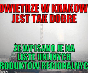 TOP 10 memów o Krakowie