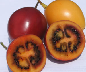 Ten egzotyczny owoc przywędrował z Ameryki Południowej. Wspiera odporność, a do tego ma niski indeks glikemiczny