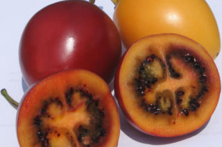 Ten egzotyczny owoc przywędrował z Ameryki Południowej. Wspiera odporność, a do tego ma niski indeks glikemiczny