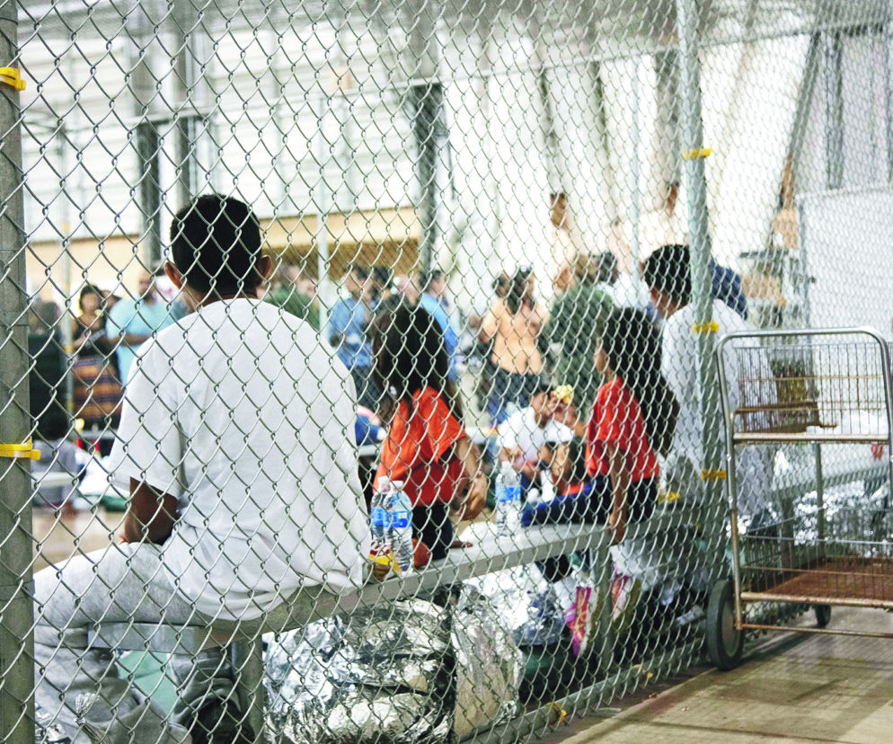 Świnka atakuje imigrantów