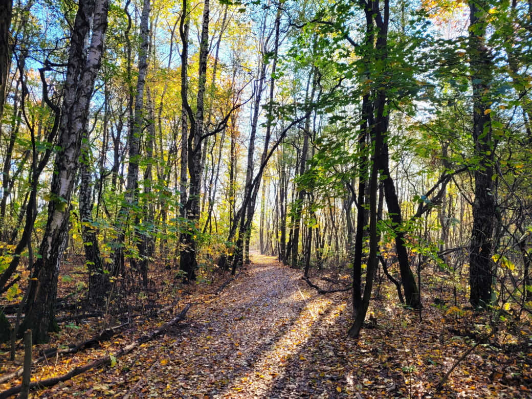 Park rzeczny Tetmajera