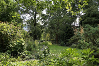 Jak powinien wyglądać ogród naturalny? Zapytaliśmy eksperta