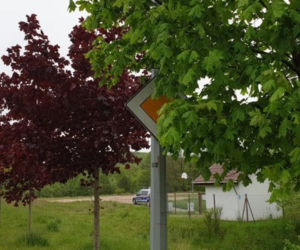 Wejherowo: Znaków nie widać, sypią się mandaty. Straż miejska interweniuje w urzędzie [ZDJĘCIA]