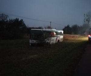 Śmiertelny wypadek pod Toruniem - policja poszukuje świadków