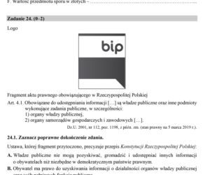 Matura 2019. Wiedza o społeczeństwie. Arkusze CKE WOS rozszerzony