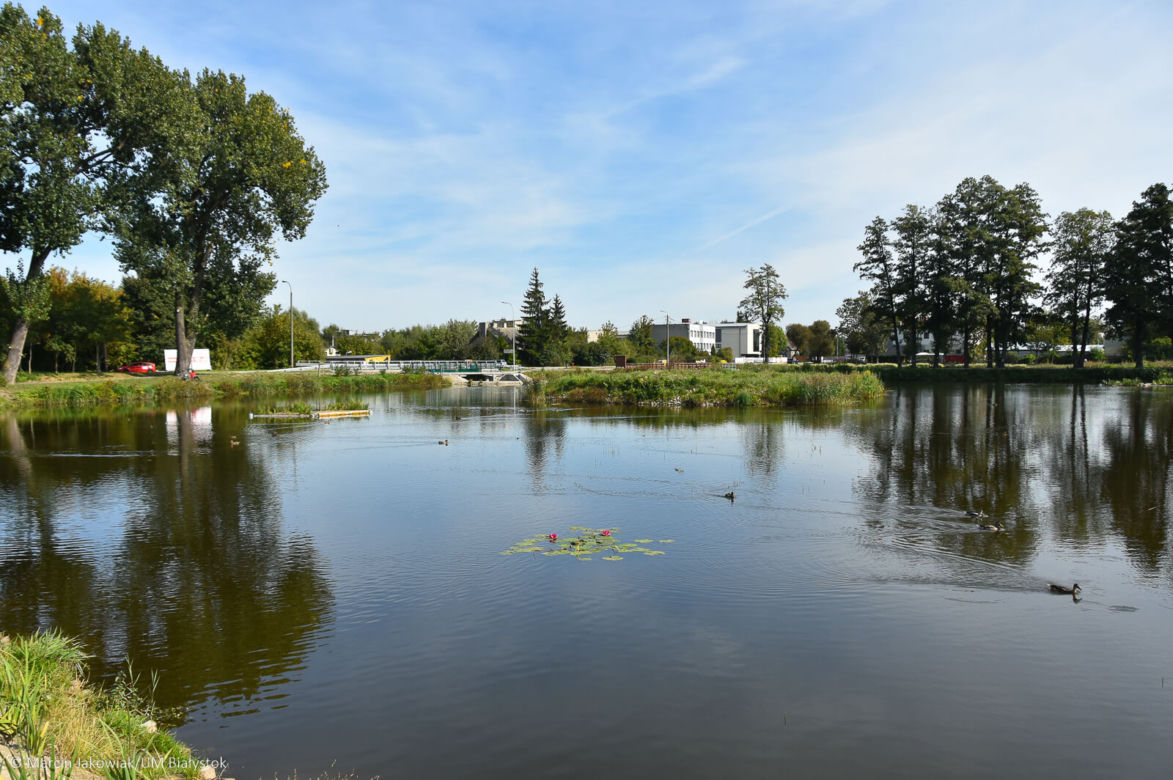 Miasto z Klimatem. Białystok zwyciężył w ogólnopolskim konkursie [ZDJECIA]