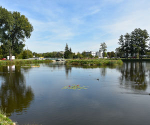 Miasto z Klimatem. Białystok zwyciężył w ogólnopolskim konkursie [ZDJECIA]