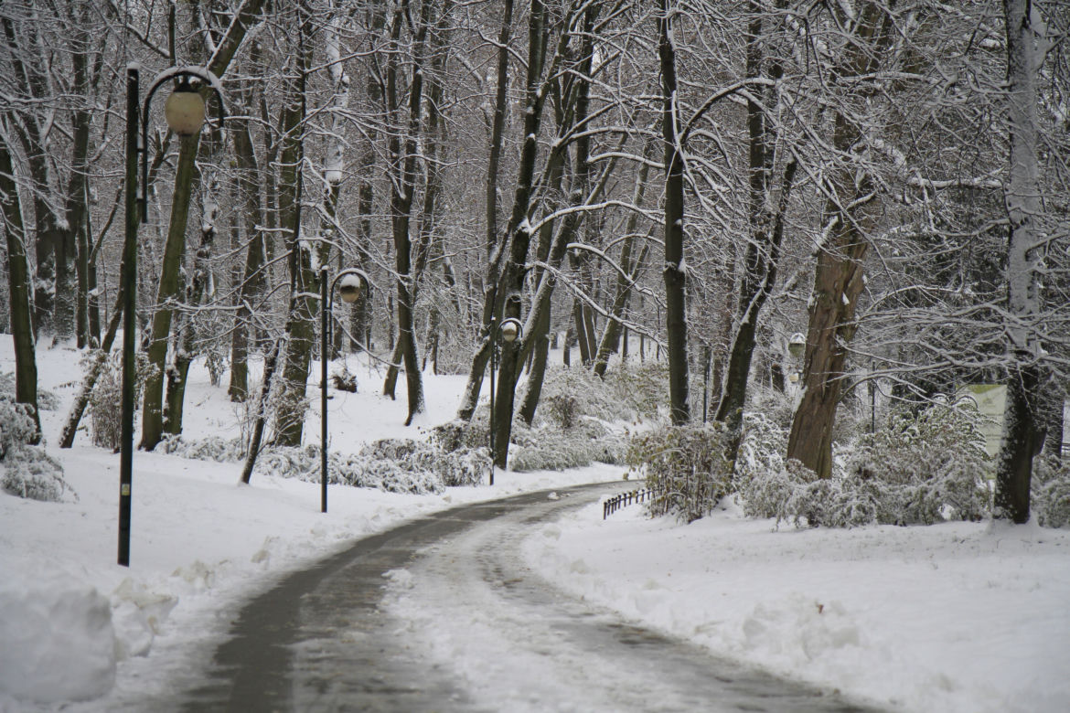 Pierwszy śnieg w Ogrodzie Saskim w Lublinie w tym sezonie!