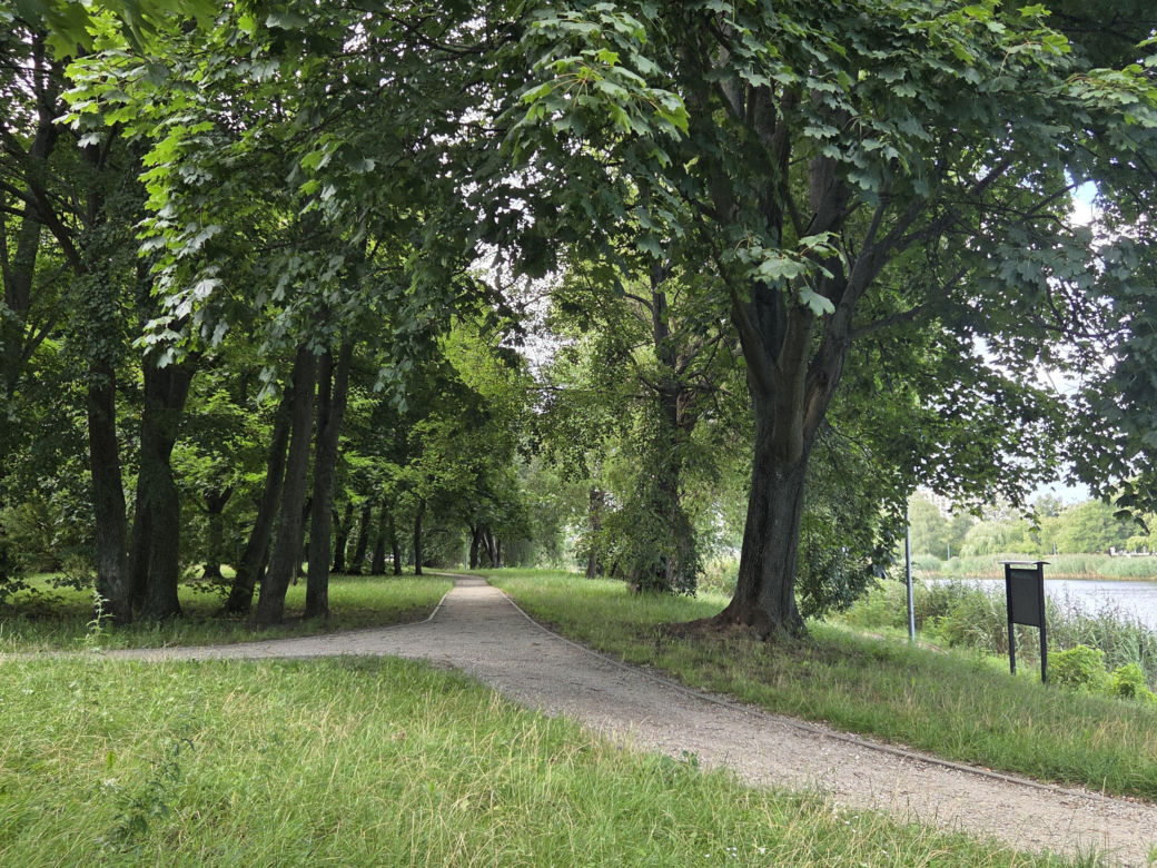 Zielona perła Bartodziejów. Odkryj uroki bydgoskiego Balatonu