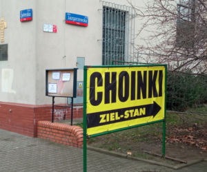 Konkurencja zniszczyła nasze choinki