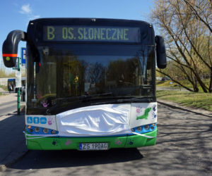 Autobusy z podziękowaniami