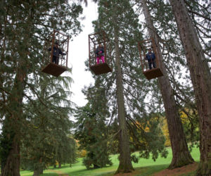 The Traitors. Zdrajcy: Sezon 3, Odcinek 3