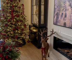 Gwiazdy wystroiły wille na święta! Przetakiewicz, Kurzopki i Rozenek wydali grube tysiące!