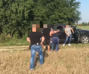 Ganiali się ze złodziejem po polu