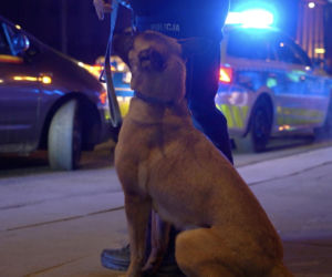 Policyjna akcja Bezpieczne przewozy” w stolicy