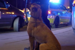 Policyjna akcja Bezpieczne przewozy” w stolicy