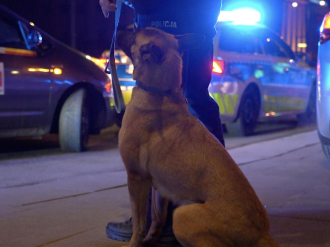 Policyjna akcja "Bezpieczne przewozy” w stolicy