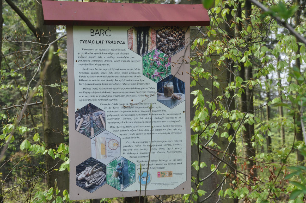 Świnia Góra idealna na wycieczkę lub biwak