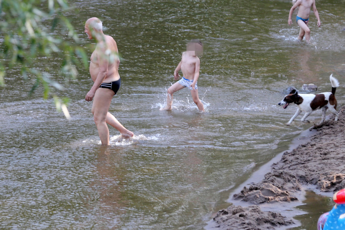 Korwin