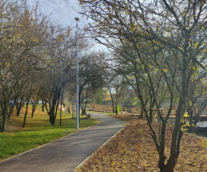 Rewitalizacja stawu przy ul. Bema w Białymstoku