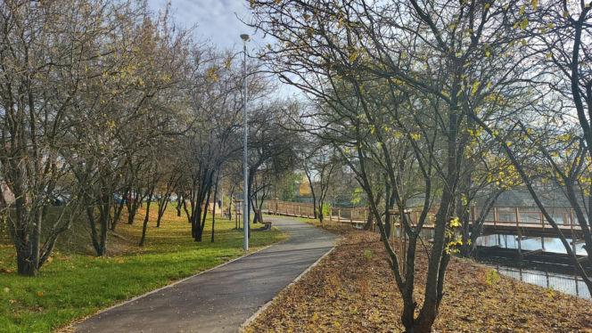 Rewitalizacja stawu przy ul. Bema w Białymstoku