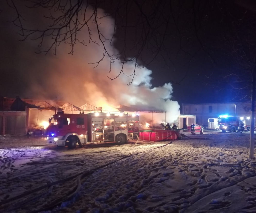 Trwa szacowanie strat po pożarze w stadninie koni w Piotrowicach, w pow. kościańskim 