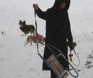 Marta Kaczyńska z synem i psami na sankach w lesie