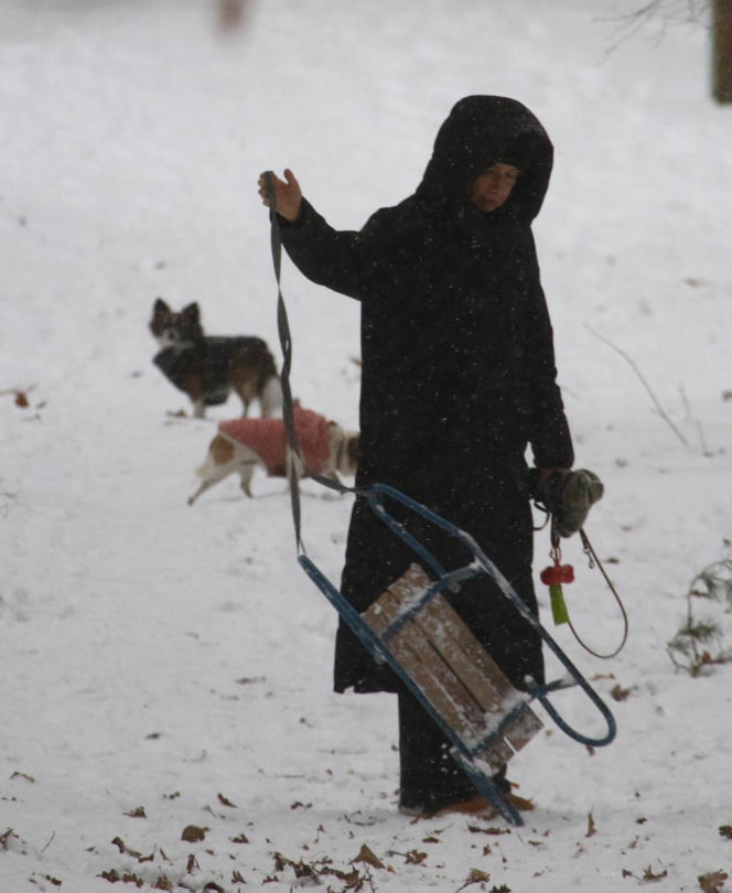 Marta Kaczyńska z synem i psami na sankach w lesie