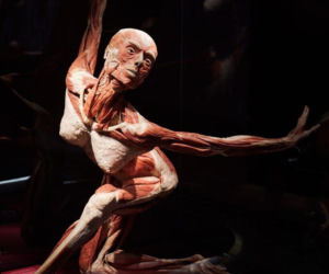 Body Worlds