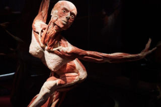 Body Worlds