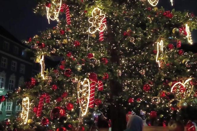 Choinka przed urzędem miasta w Szczecinie