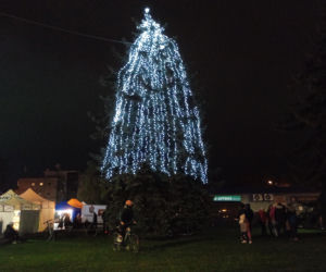 Siedleckie iluminacje 2025