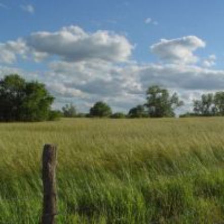 Pogoda na długi weekend sierpniowy 2017. Jak będzie 12-15 sierpnia? 