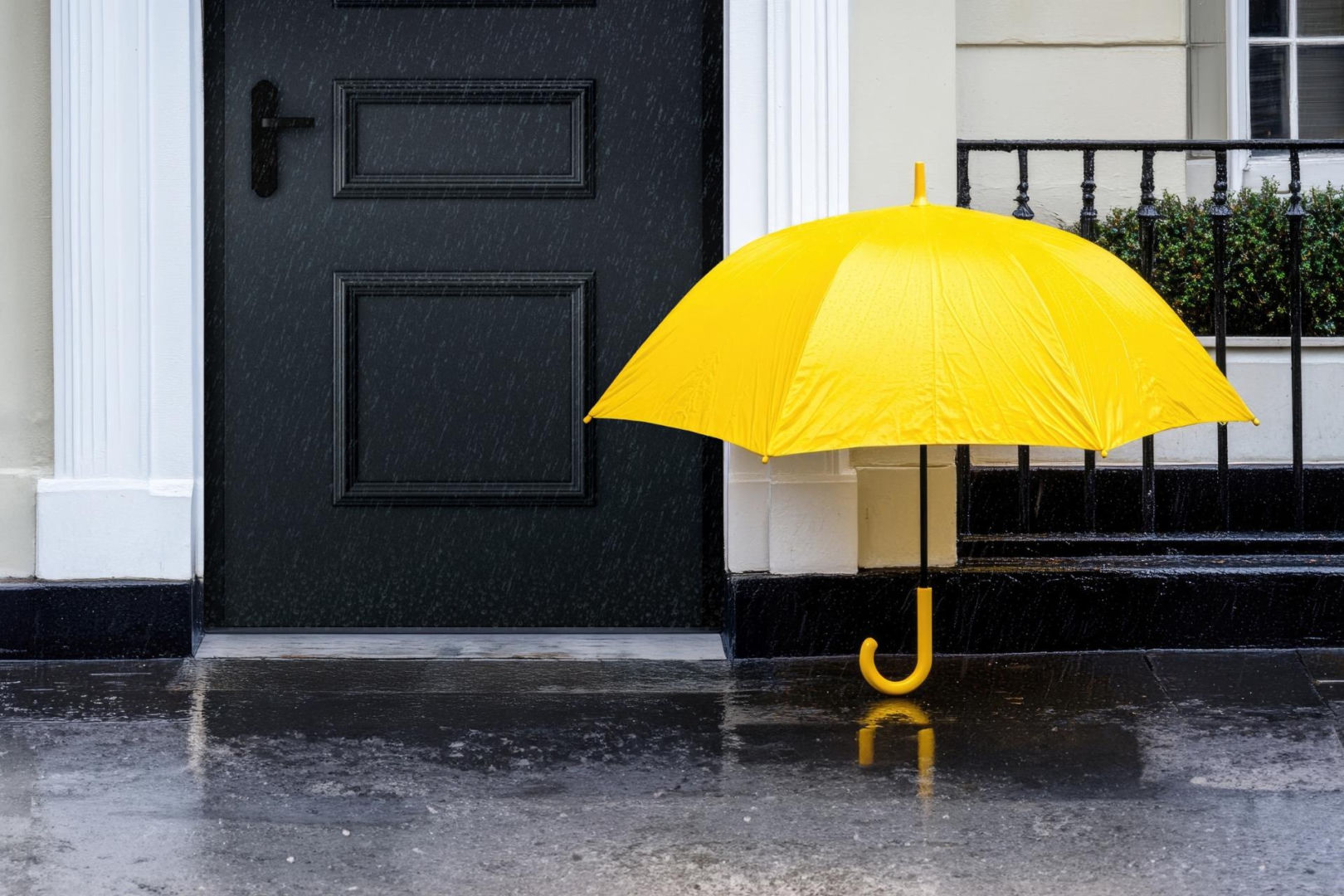 Drzwi wejściowe WIŚNIOWSKI