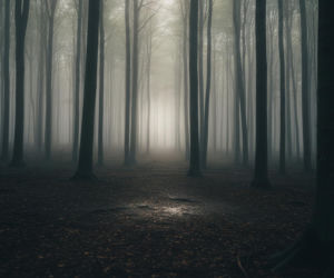 Tragiczny finał poszukiwań naukowca z Rzeszowa. Co odkryła policja na Lisiej Górze?