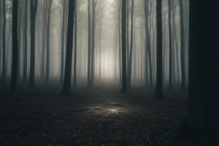 Tragiczny finał poszukiwań naukowca z Rzeszowa. Co odkryła policja na Lisiej Górze?