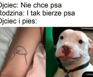 nawyki typowych ojców