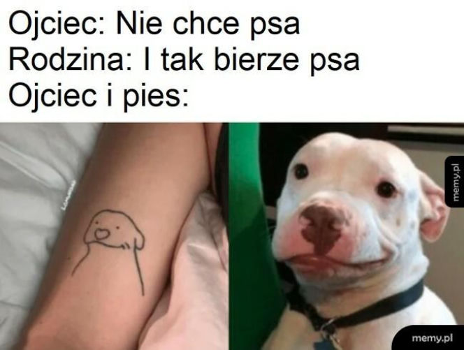 nawyki "typowych ojców"