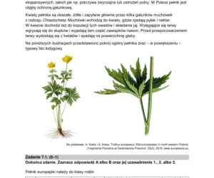 Matura 2022: biologia rozszerzona. Arkusze CKE, zadania, pytania. Poziom rozszerzony
