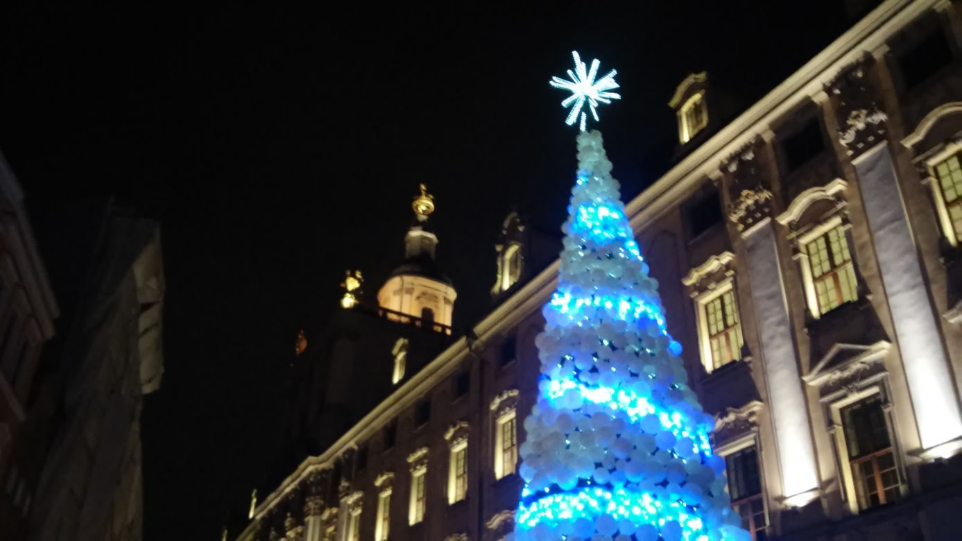 Choinki we Wrocławiu