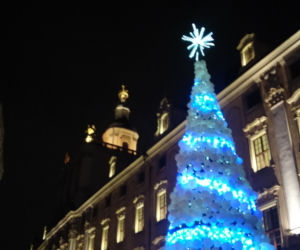Choinki we Wrocławiu