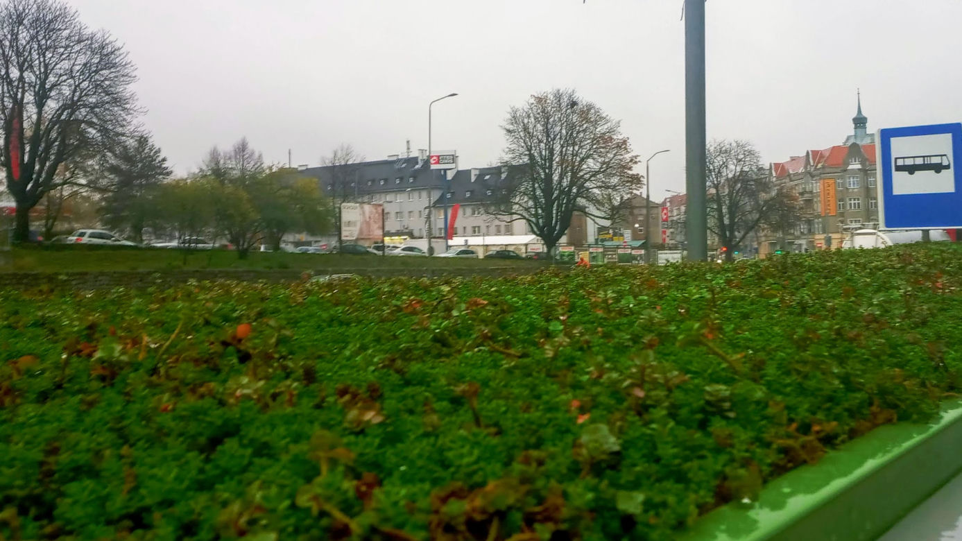Eko-wiata przystankowa na Turzynie