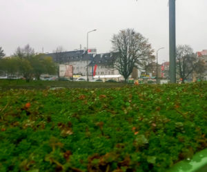 Eko-wiata przystankowa na Turzynie
